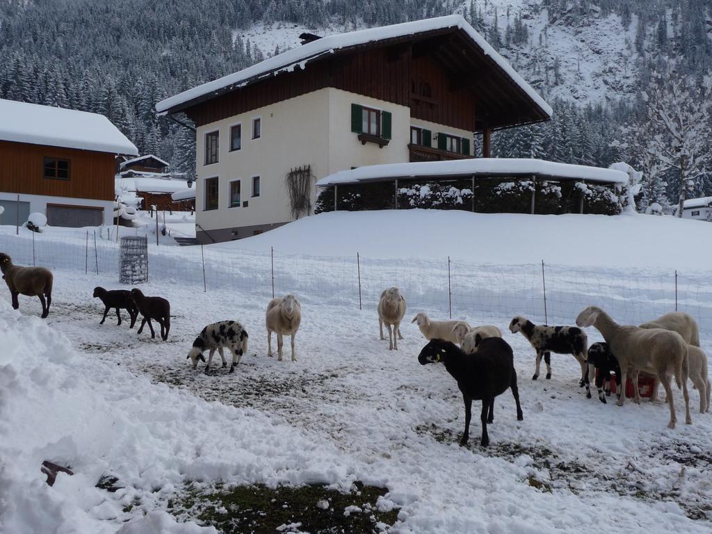 Ferienwohnung Inge Gapp Gosau Exterior foto