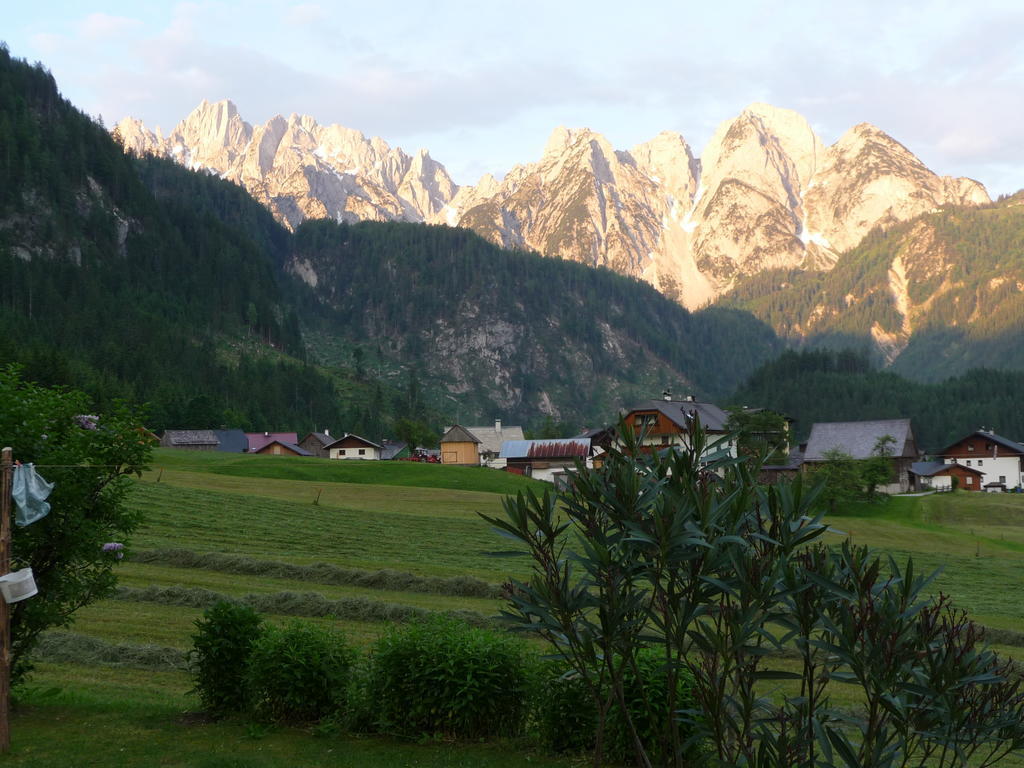 Ferienwohnung Inge Gapp Gosau Exterior foto